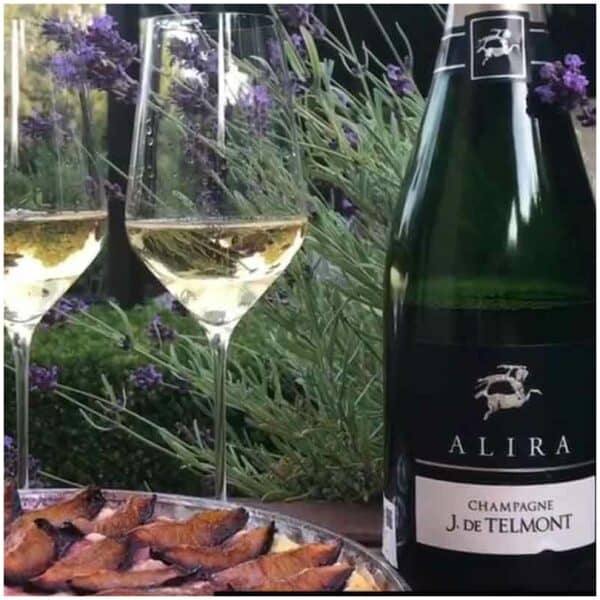 Alira Champagne J. de Telmont View
